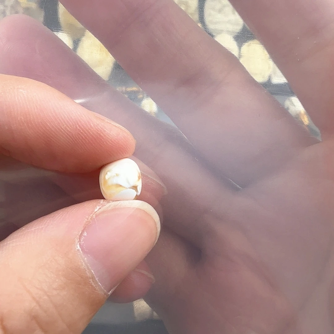 琥珀裸石未镶嵌卜*ggghhhhhh