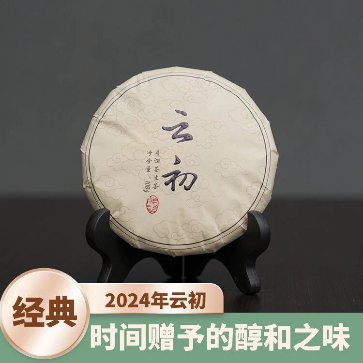 2024年【云初】刮风寨核心区古树头春头采普洱生茶饼茶108克