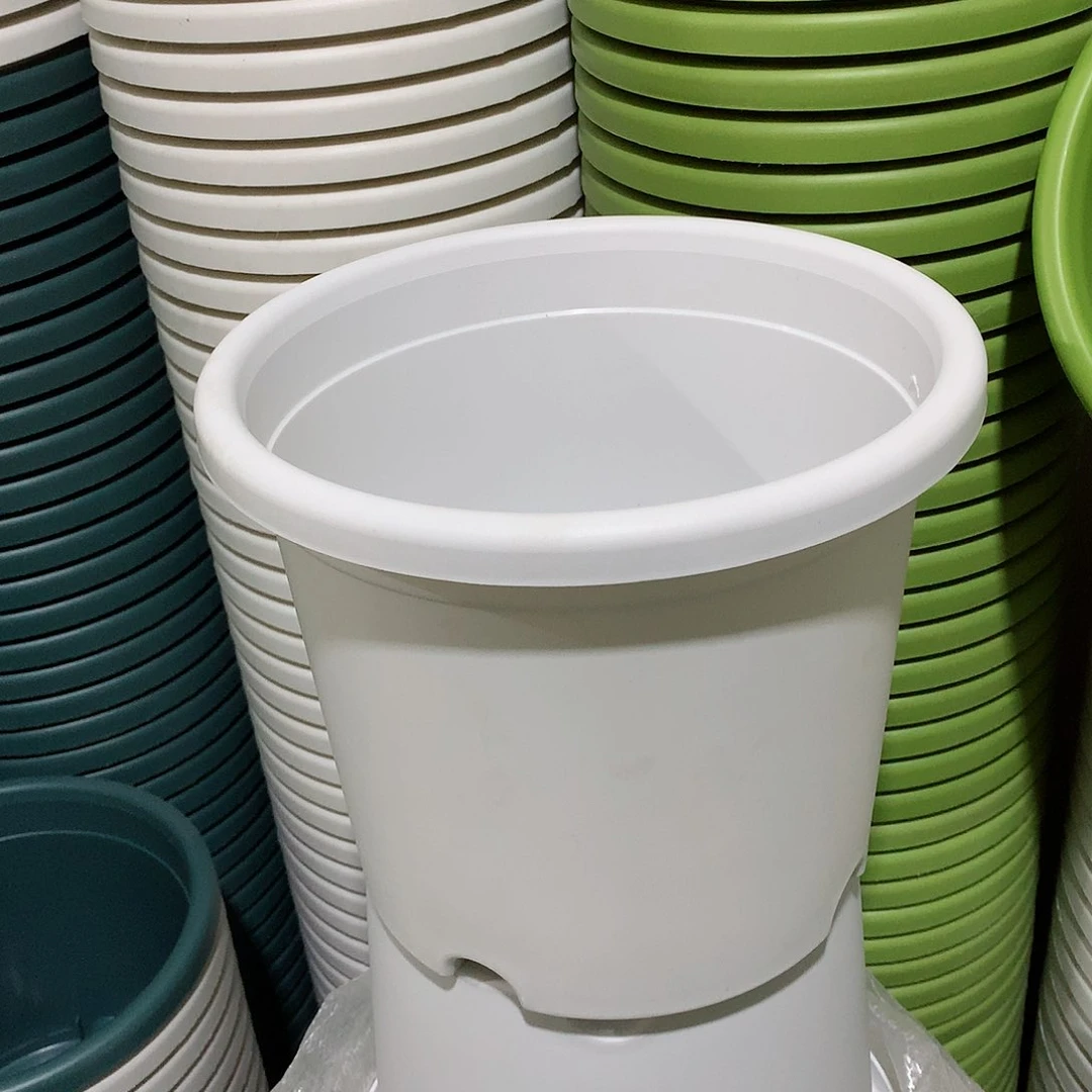 树脂四季口21白10个无托