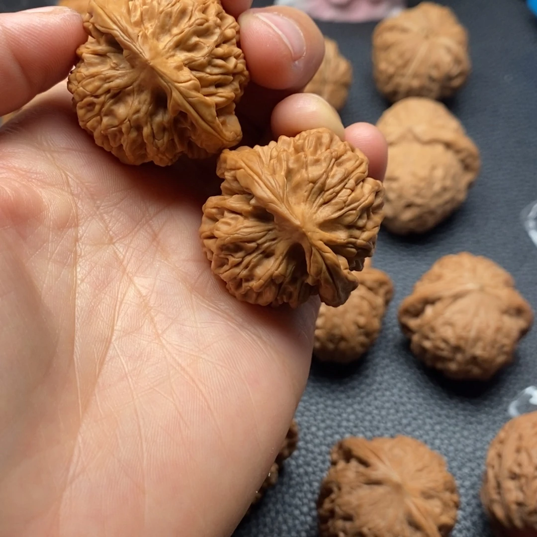 y***核桃秦闷11111111