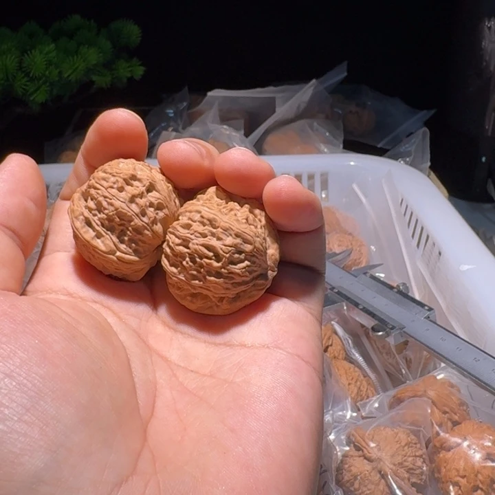 登***李文玩核桃吊坠白狮子