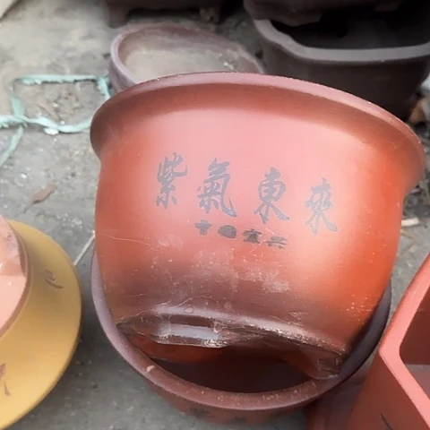 紫砂宜兴紫砂花盆紫气东来24+24