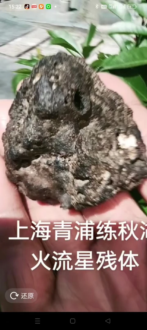 精品奇石展现独特自然魅力