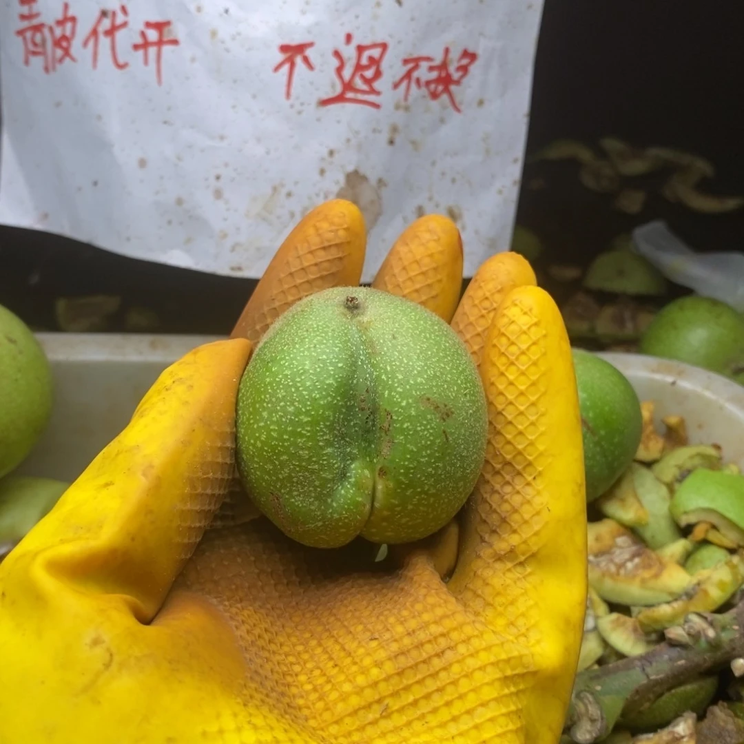 一***，宫灯异性保熟不保对开出不退不换