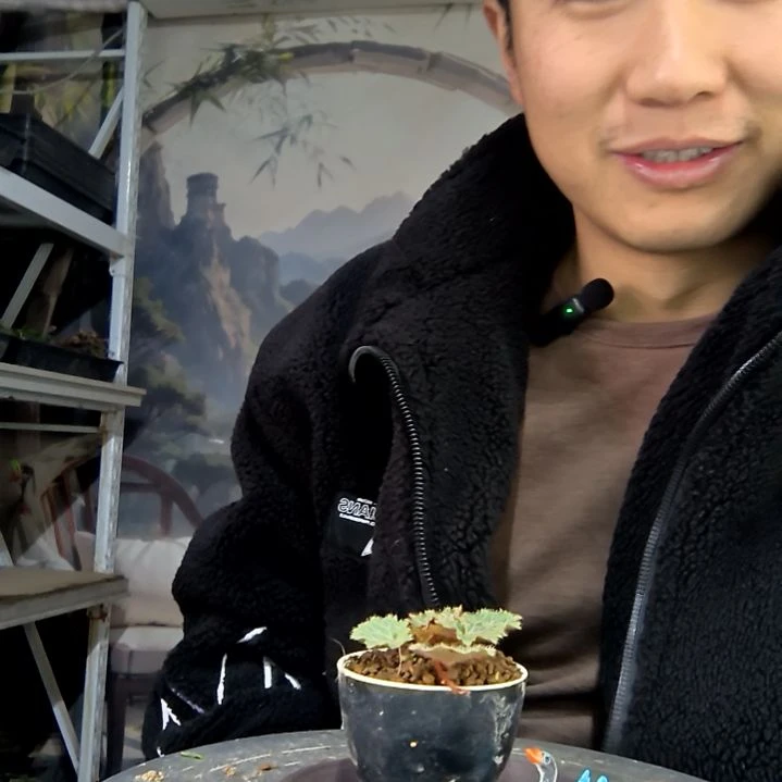 兔***、中青园艺一物一拍花438