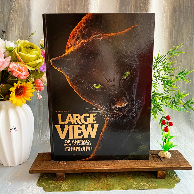 世界地板大0到3岁幼儿启蒙早教儿童启蒙睡前宝宝3-6岁绘本0-3岁书