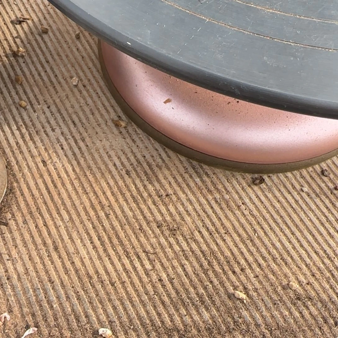北***图白凤缀多肉。