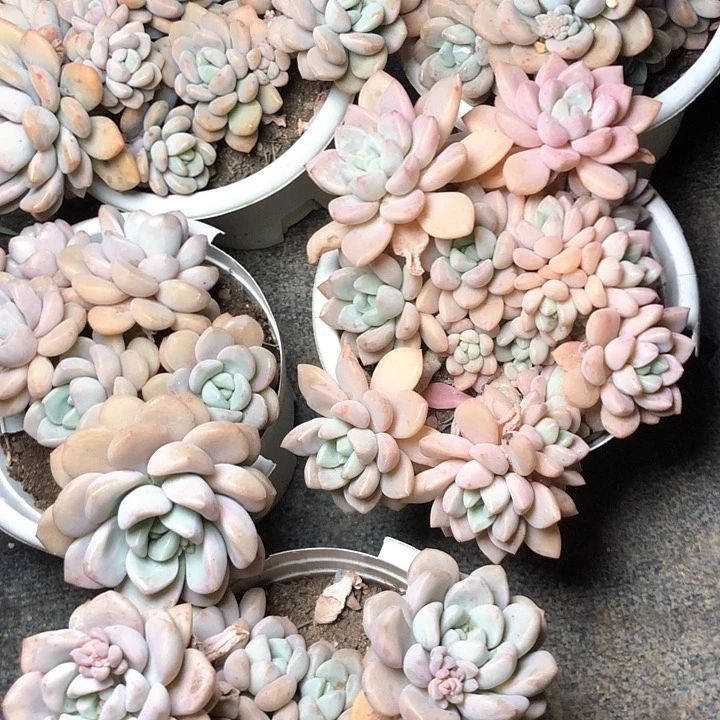 10//////////////////////