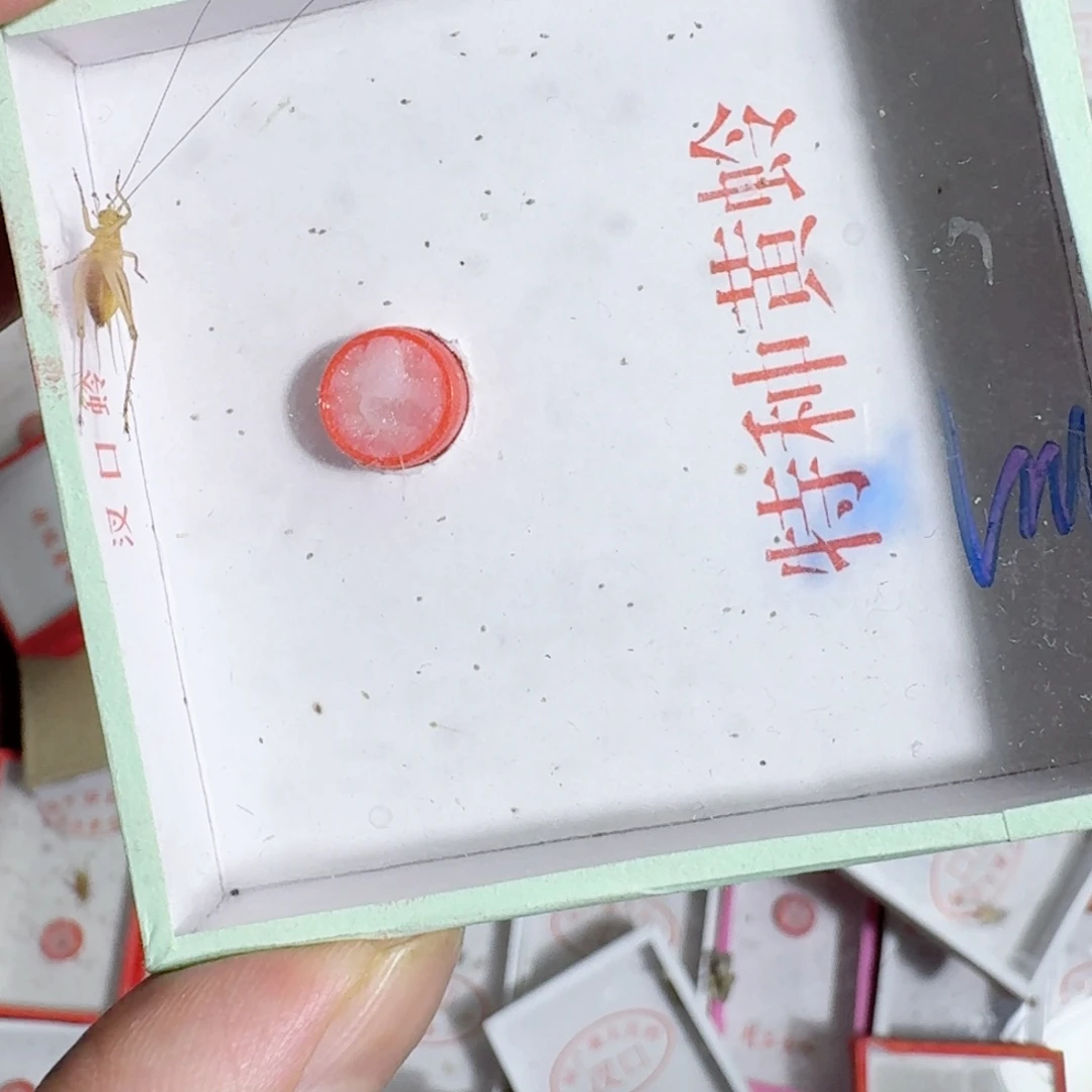 提***鸟蟋蟀蝈蝈我在外面吃饭呢你吃