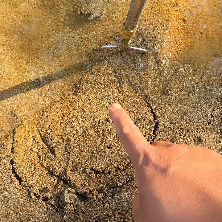 中国大陆大别山甲鱼