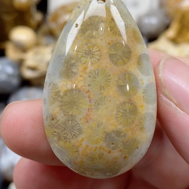 颈饰未镶嵌硅化珊瑚（珊瑚玉）有瑕 小