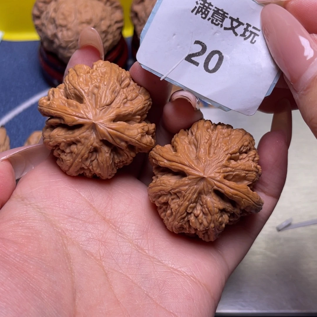 核桃粗粗筋39.20.