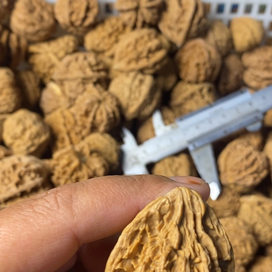 喵***喵大叶紫檀（黑酸枝木类）