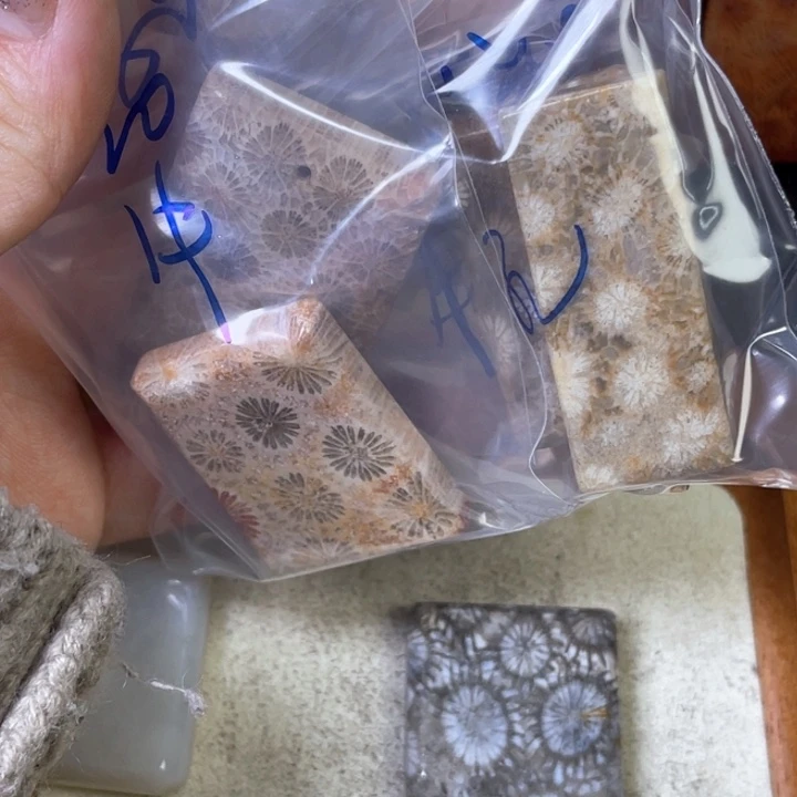 硅化珊瑚（珊瑚玉）珠宝合金一****?