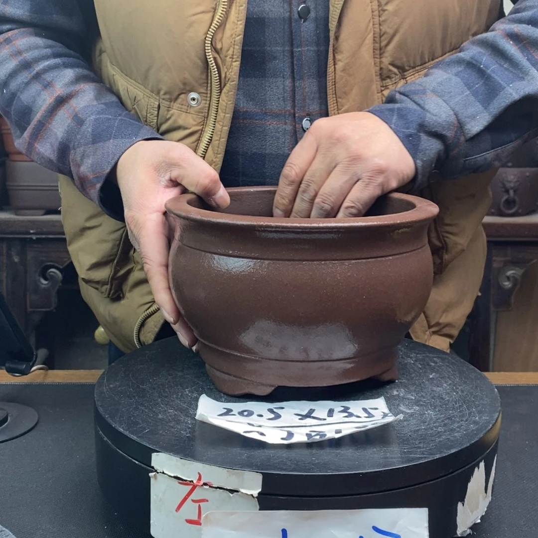 紫砂货号一只JB189