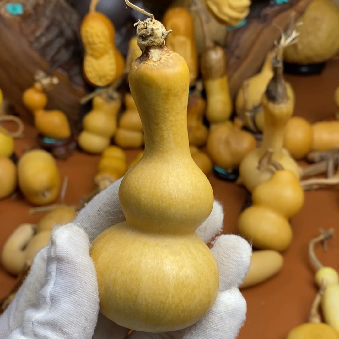 豆***川教练咯教练咯教练咯