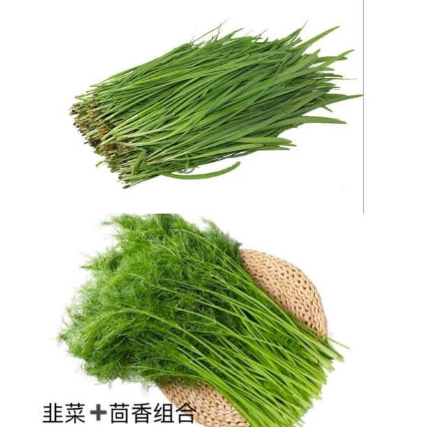 【众旺农场】组合装 韭菜+茴香各1/2斤，韭菜+小白菜各2斤，新鲜现割 不泡药水 顺丰包邮 送货上门绿色蔬菜