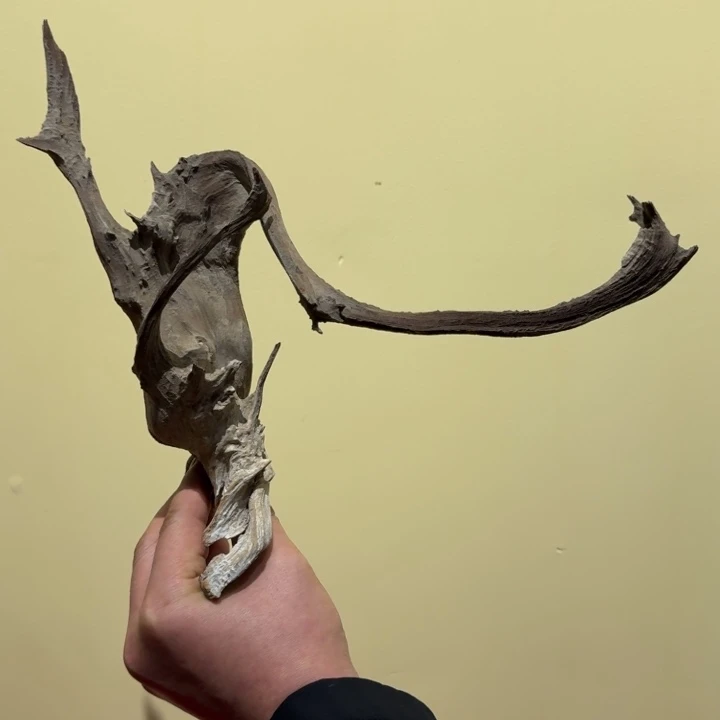 竹***愿柏木（崖柏）不要在打来哦了好不好亲爱你