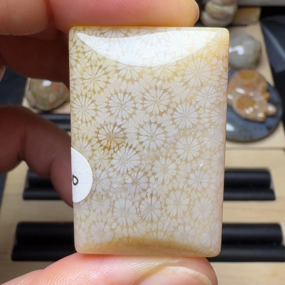 硅化玉未镶嵌纯天然色有机玉石保真色
