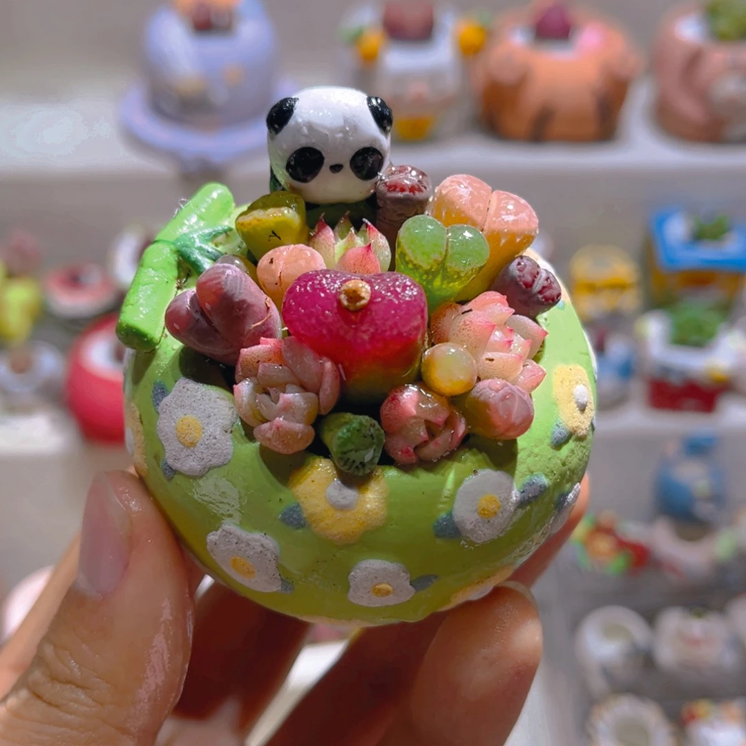 002高端多肉带盆土一套68