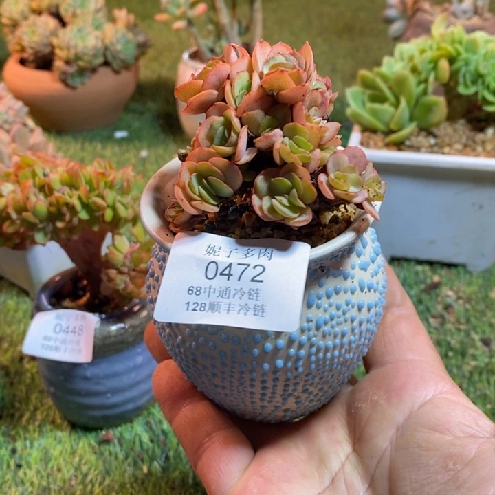 0472啊啊啊啊啊啊啊啊啊啊啊啊