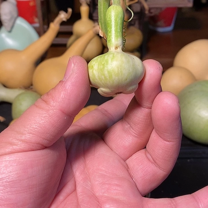 丁****室精品葫芦手把葫芦94