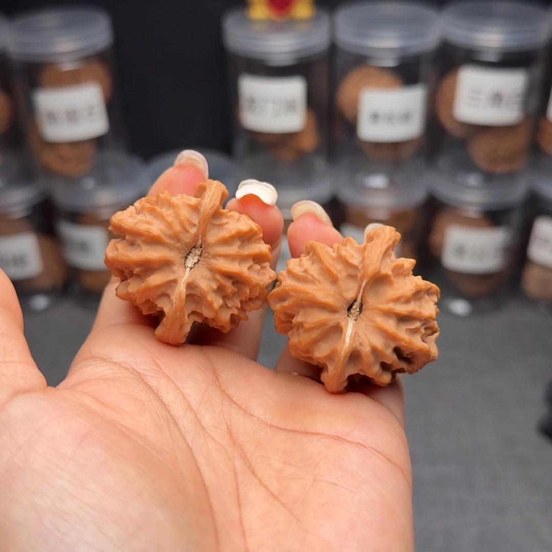 文玩核桃把件曹大龙