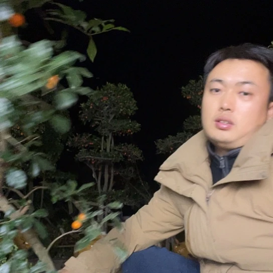 无花朵金弹子庭院原生品种