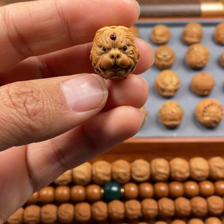 狗王单颗猴头全品