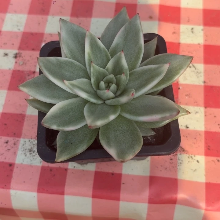 幸***生福袋福袋福袋福袋