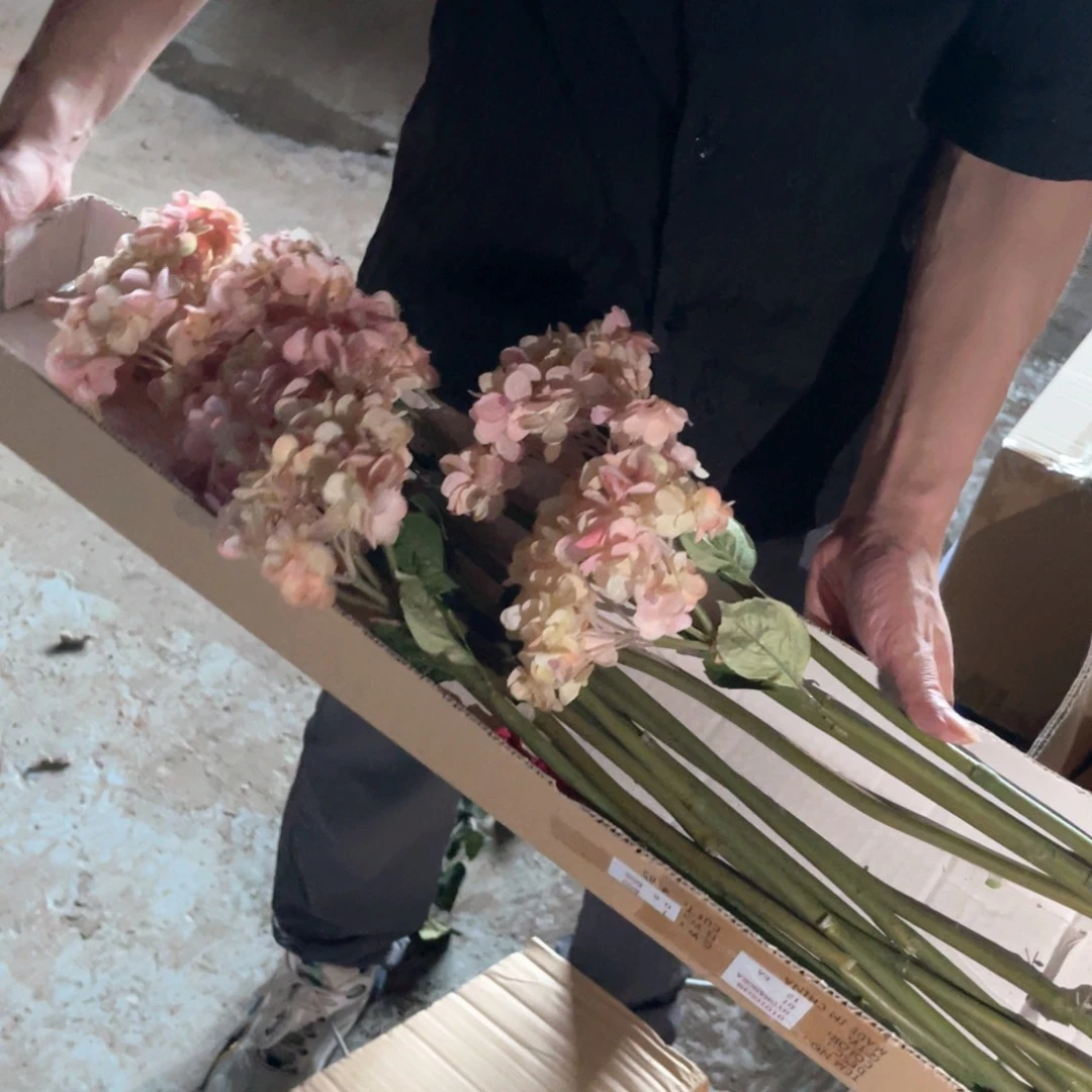 红陶红陶红陶红陶54