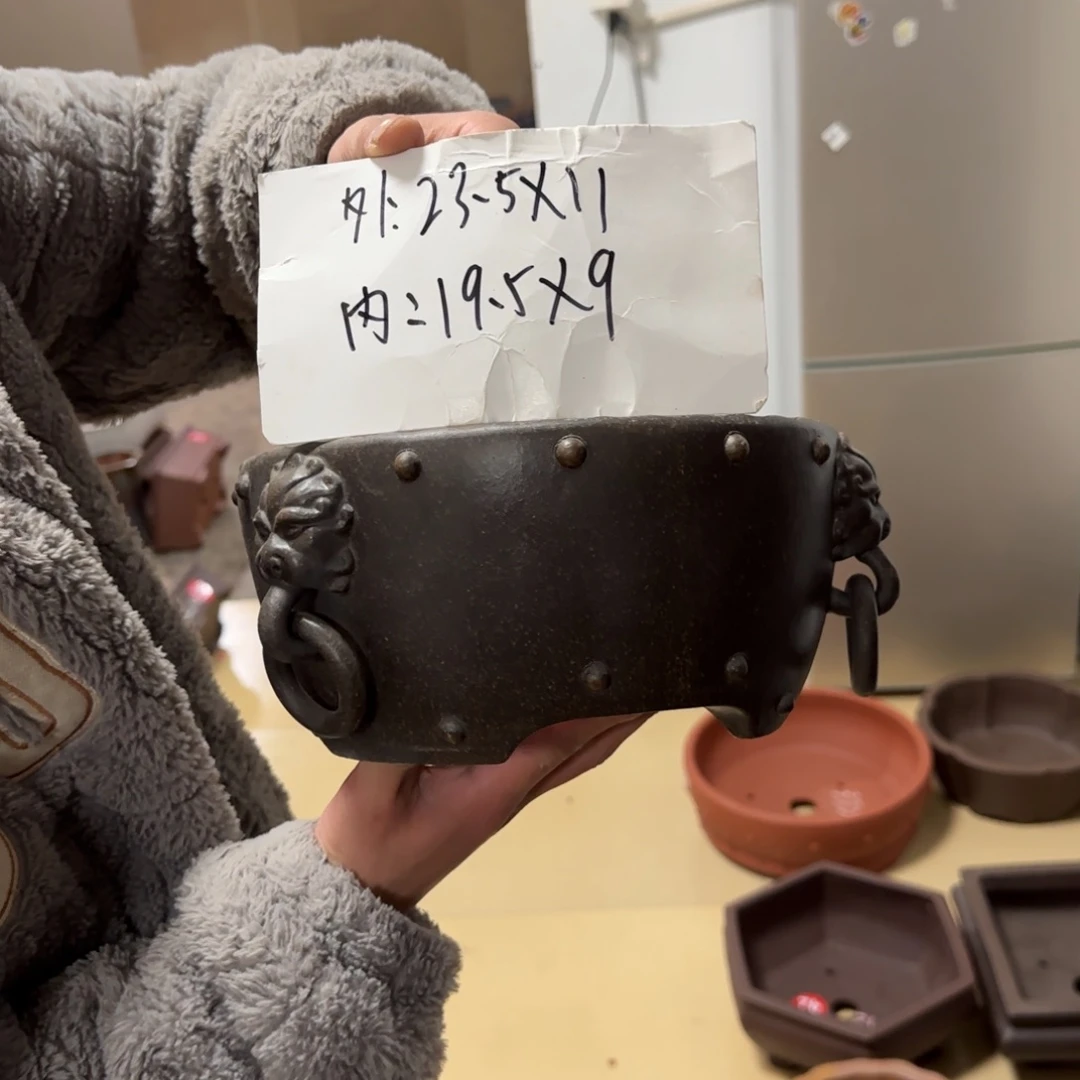 紫砂花盆呜呜呜呜