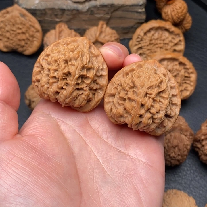 桃核把件尺寸39野牛