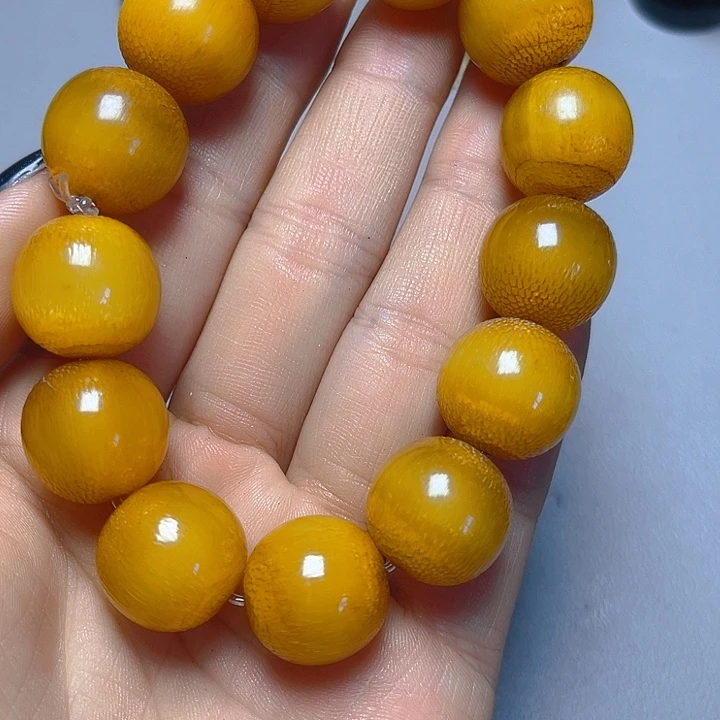 大果紫檀（缅甸花梨）