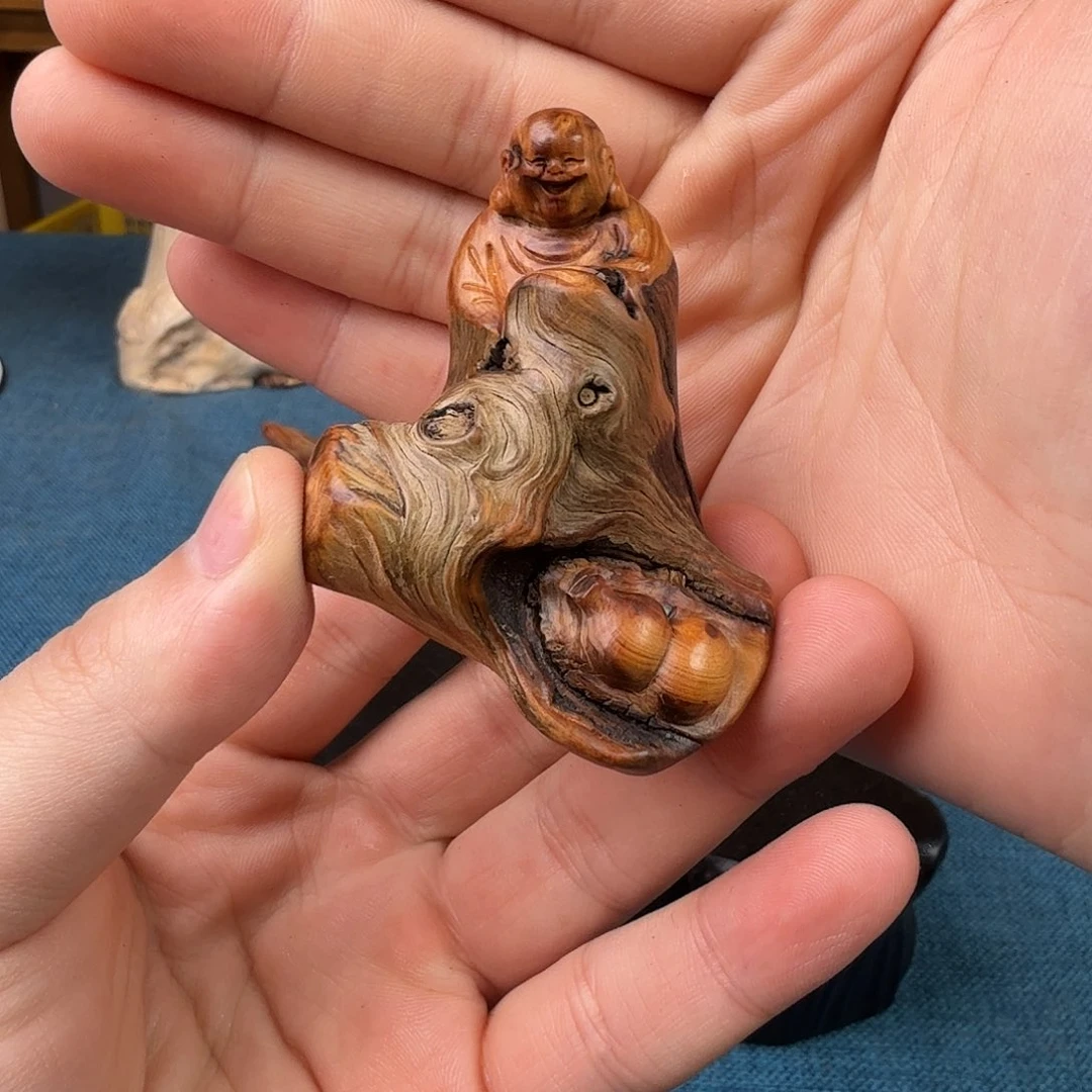 柏木（崖柏）关注一下