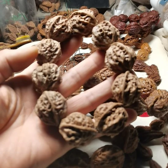 邢***铖文玩核桃吊坠东北楸异形籽小核桃23