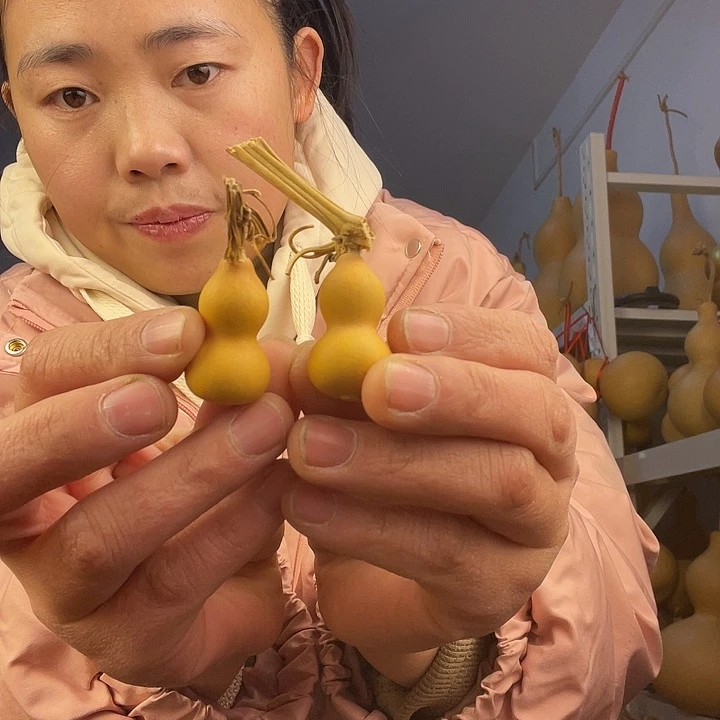 明***校天然葫芦一物一图看图片发货