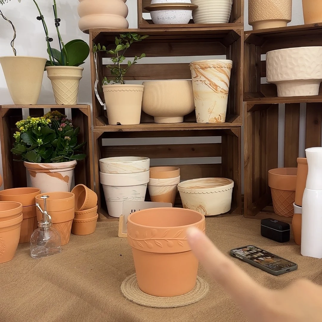 微瑕橄榄16口14高