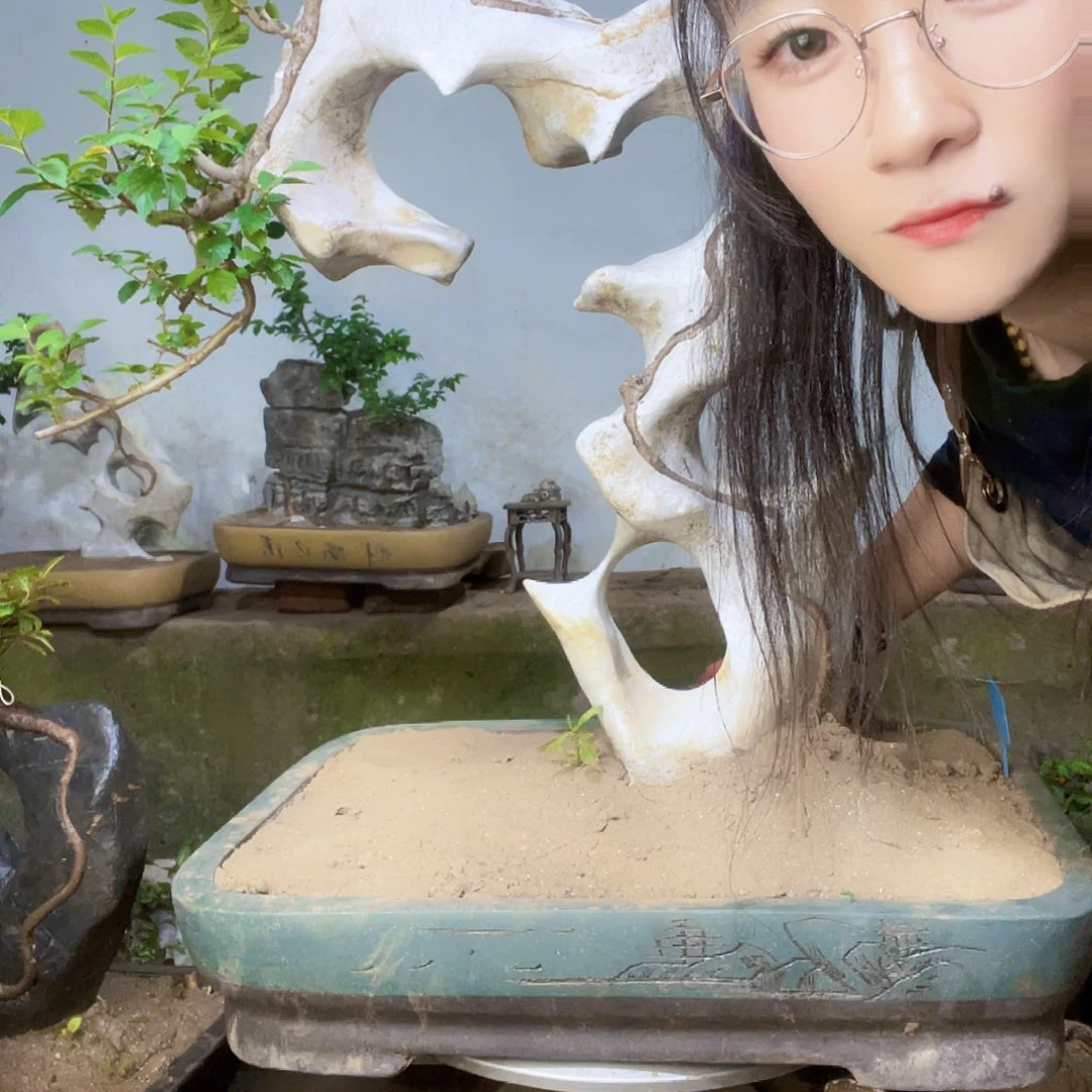 用***"直播间不见不散吗