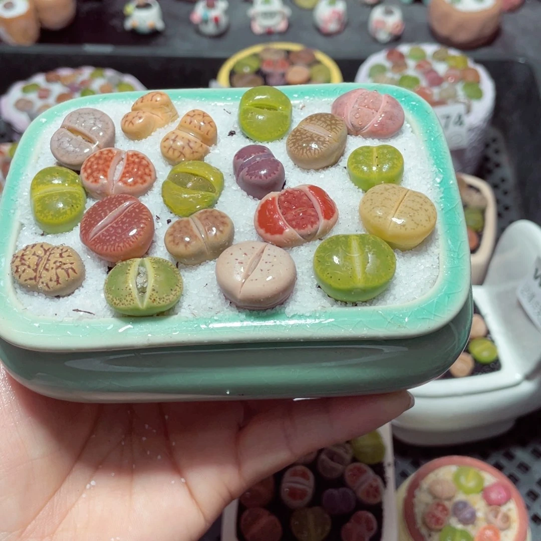 w9181 带盆土发货-零下地区拍保温箱