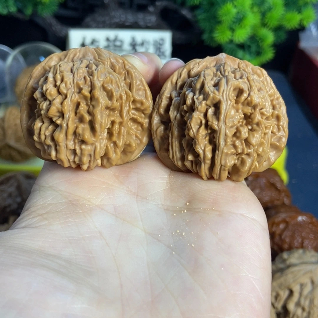 核桃四座楼全品42尺25