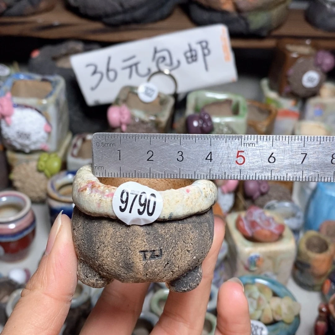 拍3送一个小礼物