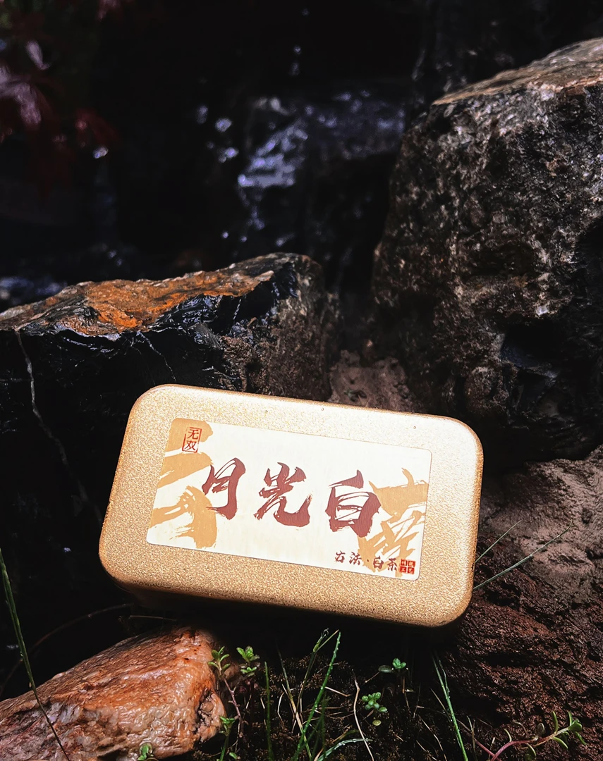【2021年月光白】普洱茶白茶 闷泡专用茶 白茶小方片便携装