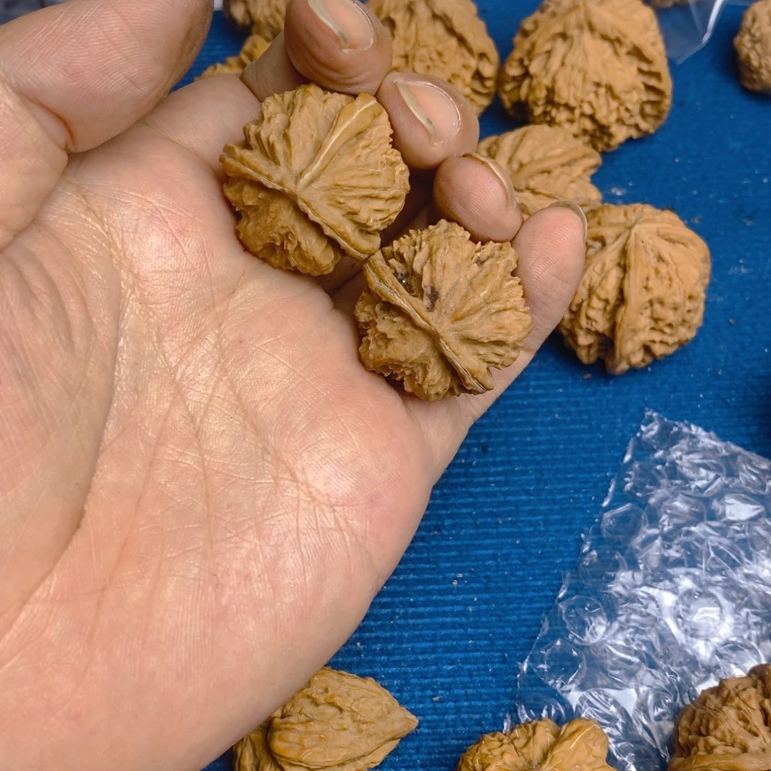 水***鱼手串/手链核桃全品