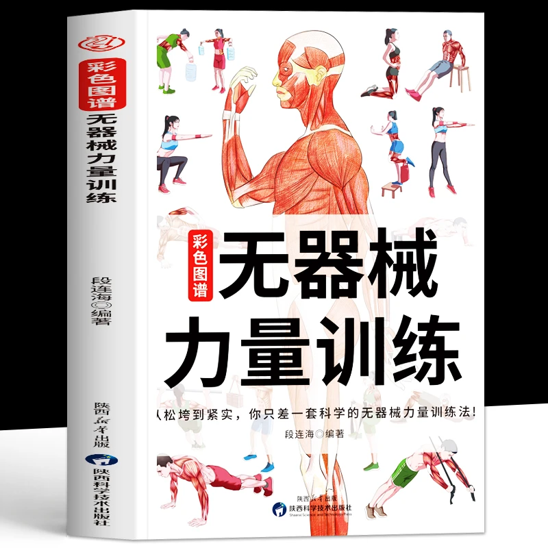 无器械力量训练彩色图谱 肌肉健美运动解剖学图谱健身书籍教程