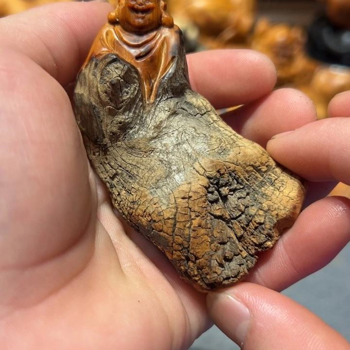 柏木（崖柏）点点关注，感谢分享