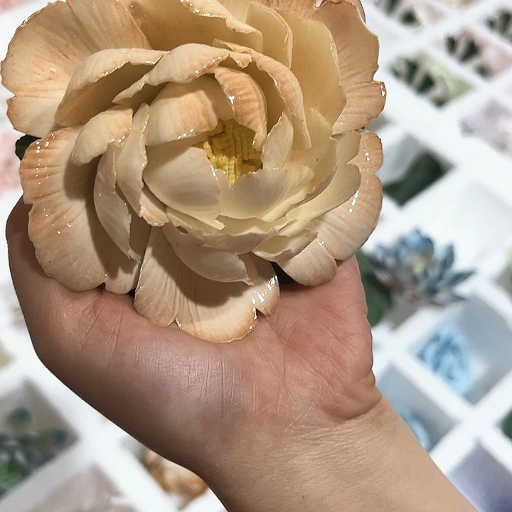 微瑕品，不退不换，退换拉黑