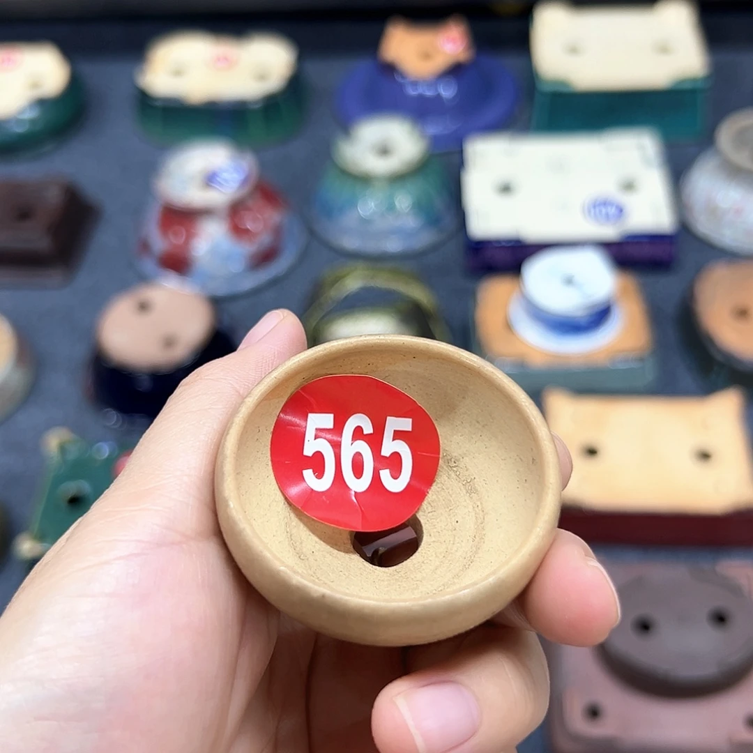 L***r对你的喜欢就如同这日子只增不减565