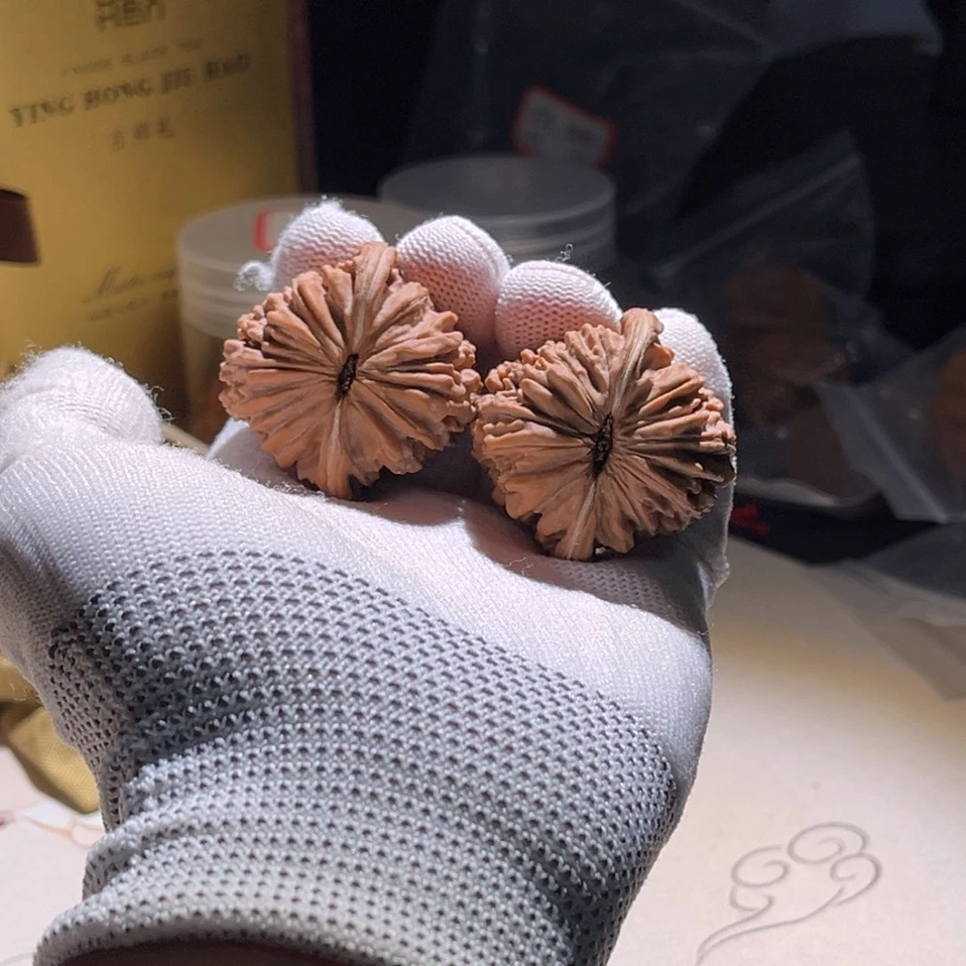 王***楼子楼子 楼子。林云z。