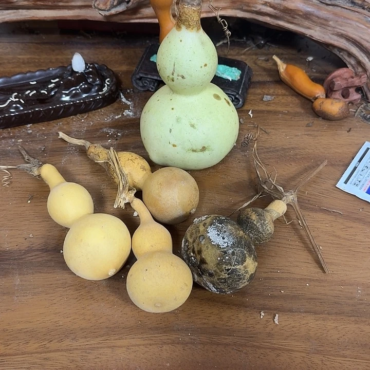 路***过jcjfugigigivohohoblnlblb